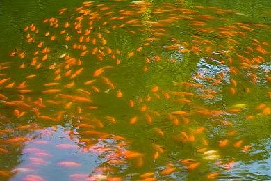 80%的竞技游戏玩家遇到开挂者 42%的人因此放弃游戏